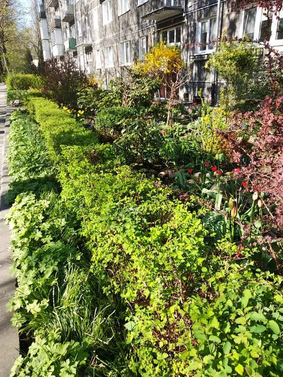 Квартира Квартира в центре города — Калининград