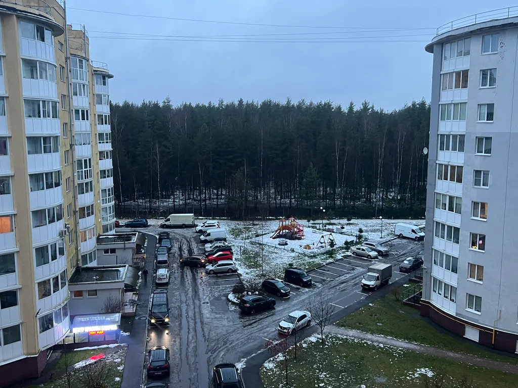 Студия с шикарным видом на лес