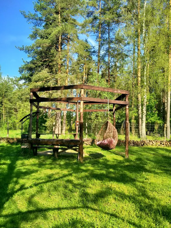 Уютный домик с видом на лес