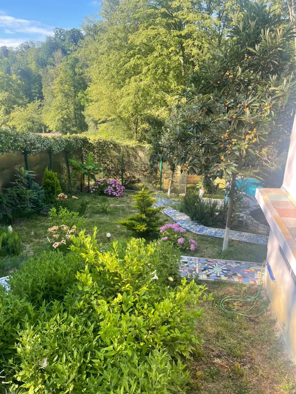 Уютная квартира в окружении леса