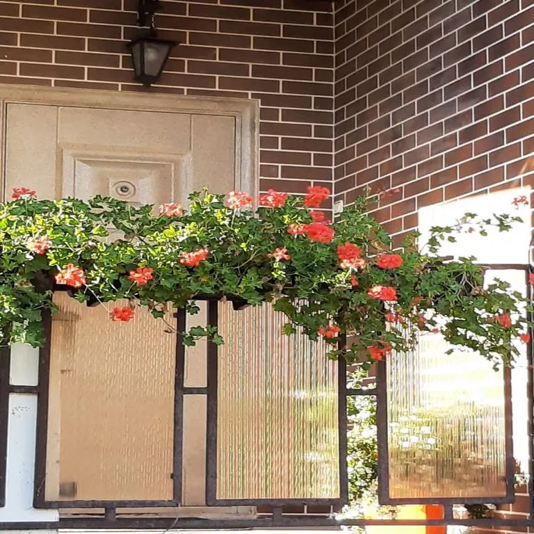 Коттедж Привлекательный дом для отпуска — аренда посуточно в Калининград