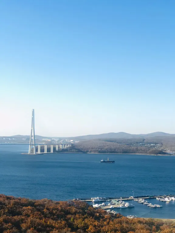 Квартира Апартаменты с шикарным видом на Морскую акваторию — Владивосток