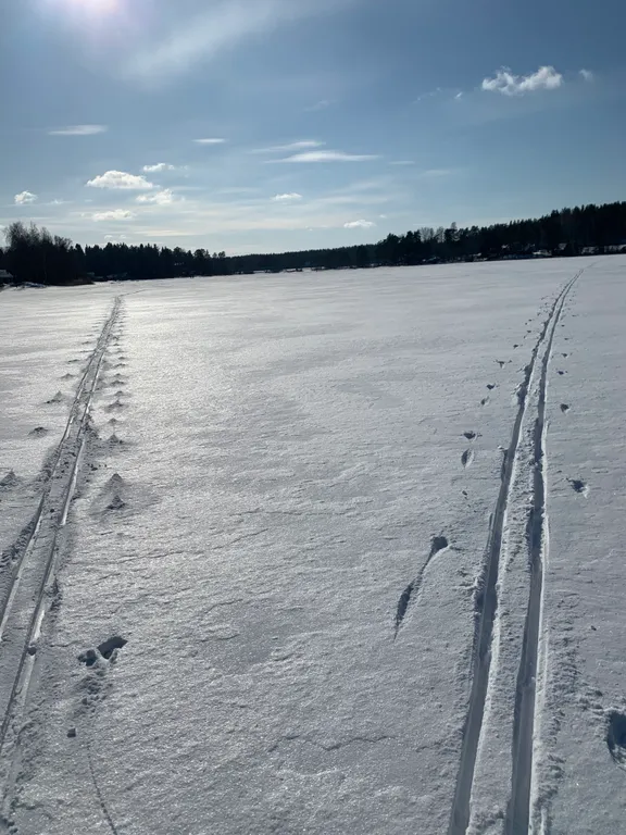 Haavejärvi - озеро мечты! Уютный дом на берегу озера в сосновом лесу