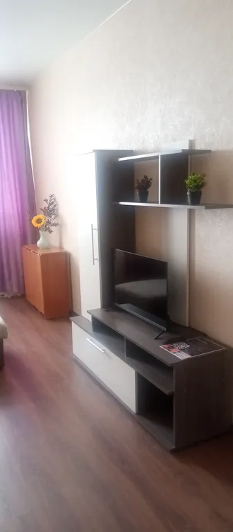 Квартира Шикарные апартаменты в центре города — аренда посуточно в Барнаул