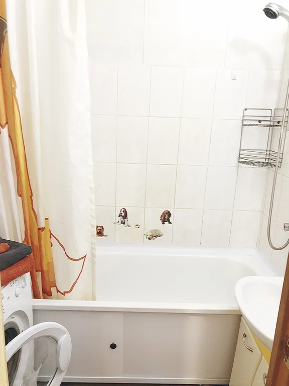 Квартира Апартаменты в центре с видом на парк — Колпино