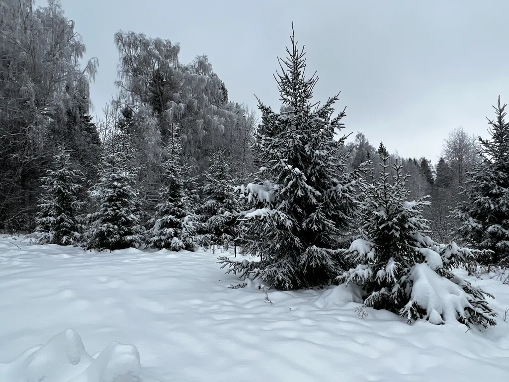 Коттедж с панорамными окнами Куско на Истринском водохранилище