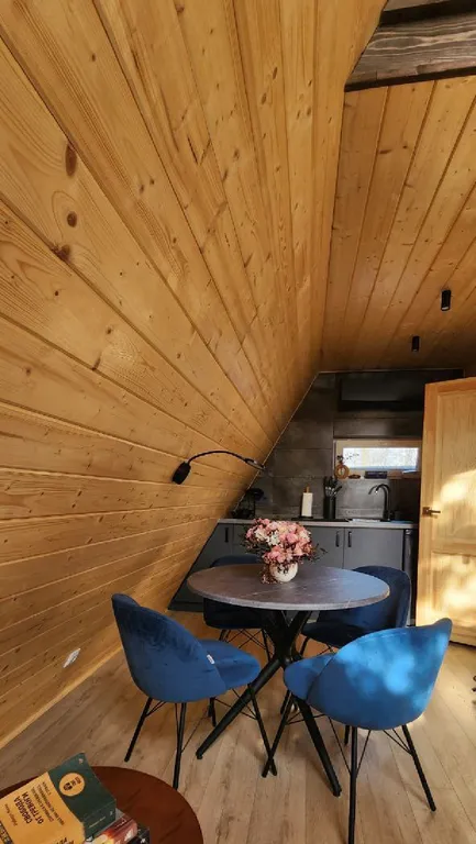 Треугольный дом в 25км от Минска с баней и горячей купелью в лесу