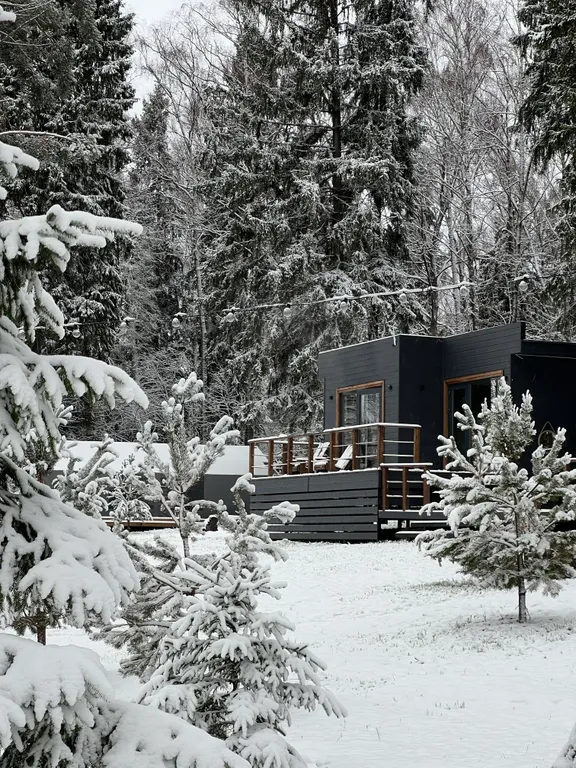 Дом на семью или компанию в лесу у большой воды