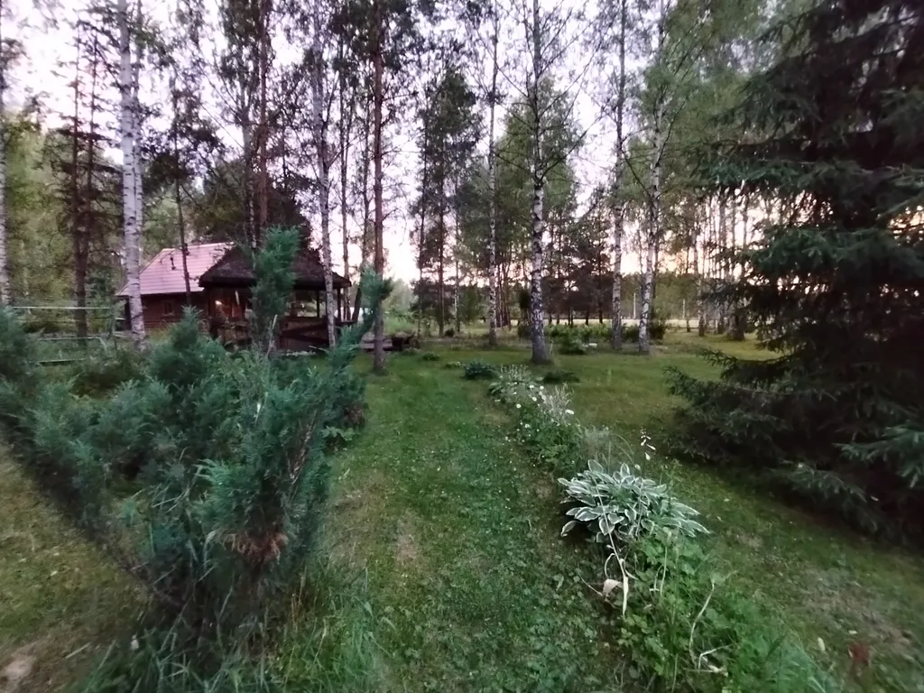 Дом на большом лесном участке