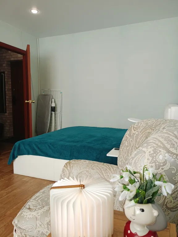 Уютная квартира с видом на северное сияние и на горы