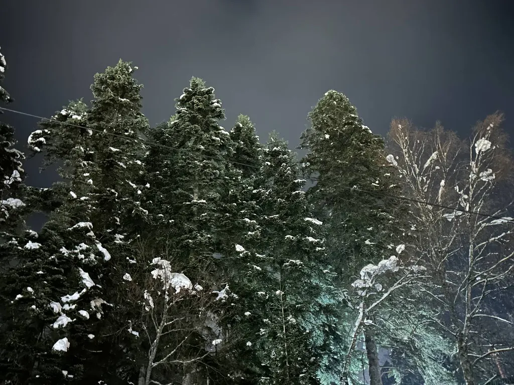 Уютный номер эконом класс