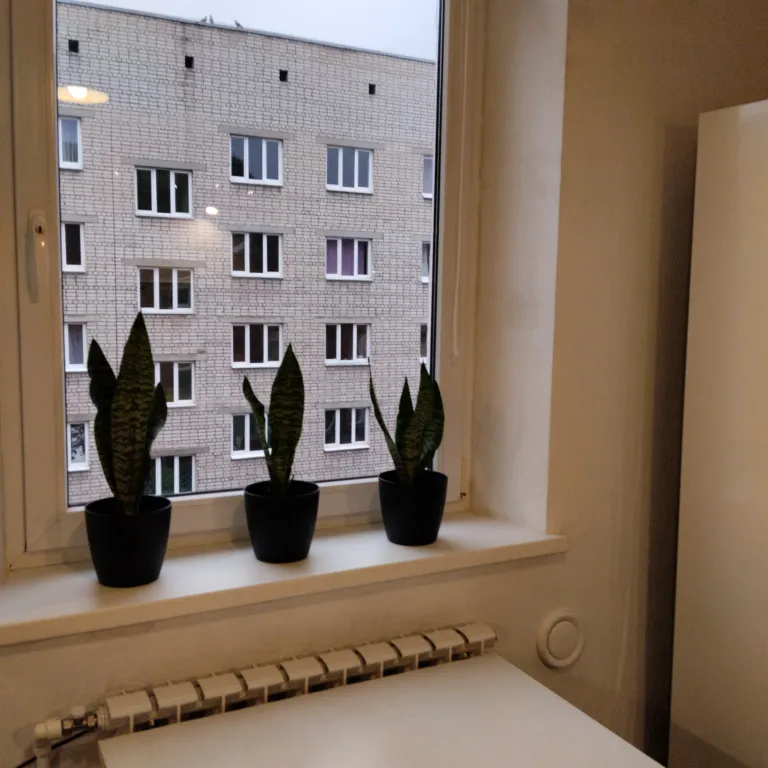 Квартира в центре города в историческом здании