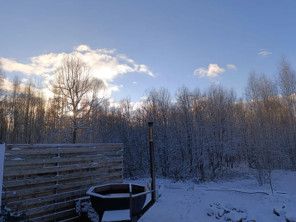 A-frame дом с видом на лес