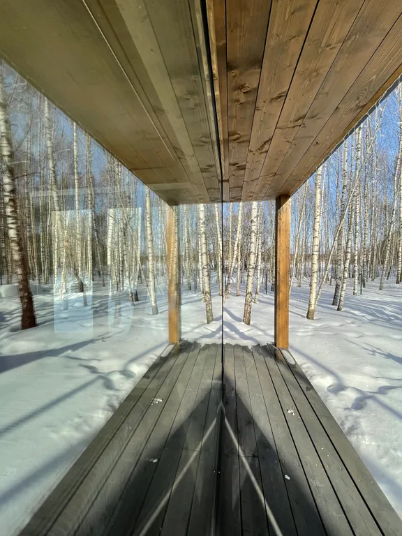Самый уютный дом с панорамным остеклением в березовом лесу