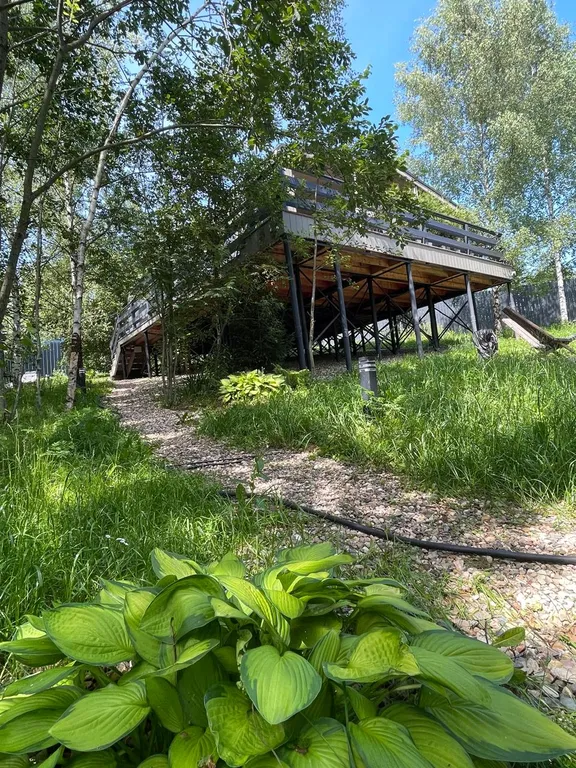 Дом в облаках у леса