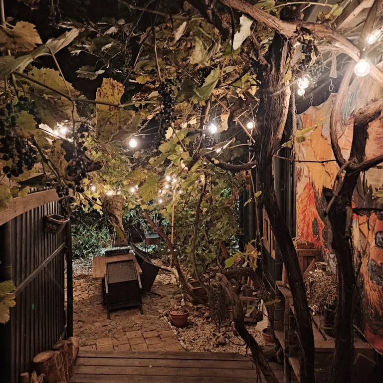 Коттедж Книжный дом с садом под виноградом — Кисловодск