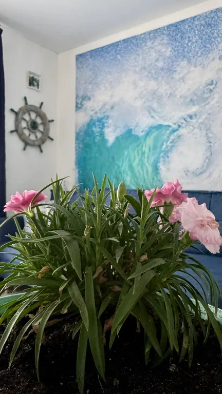 Квартира Квартира Студия в морском стиле — Севастополь