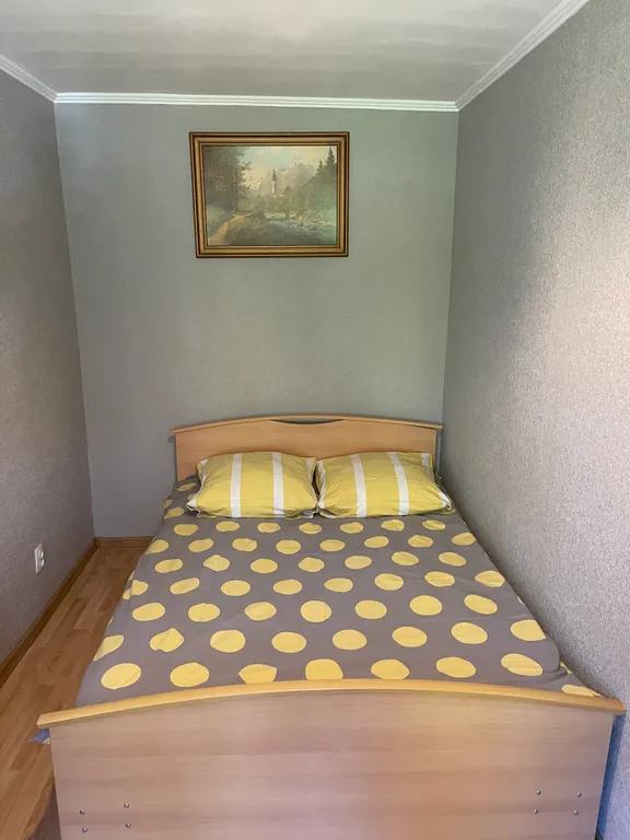 Уютная квартира в самом центре города рядом с парком и СТК Горный воздух