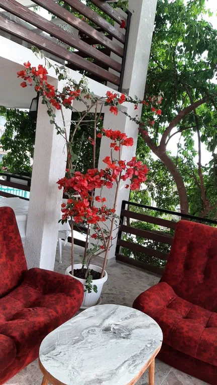 Квартира Комната — Гагра