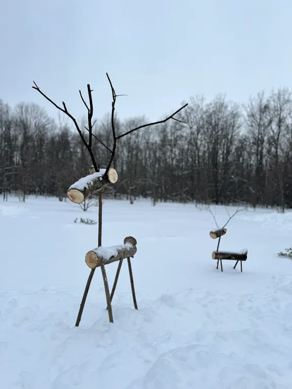 Уютный панорамный треугольный дом A-frame с видом и окружением леса