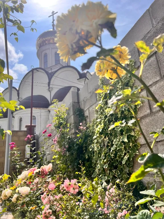 Квартира-студия 25 м2, 1/3 эт