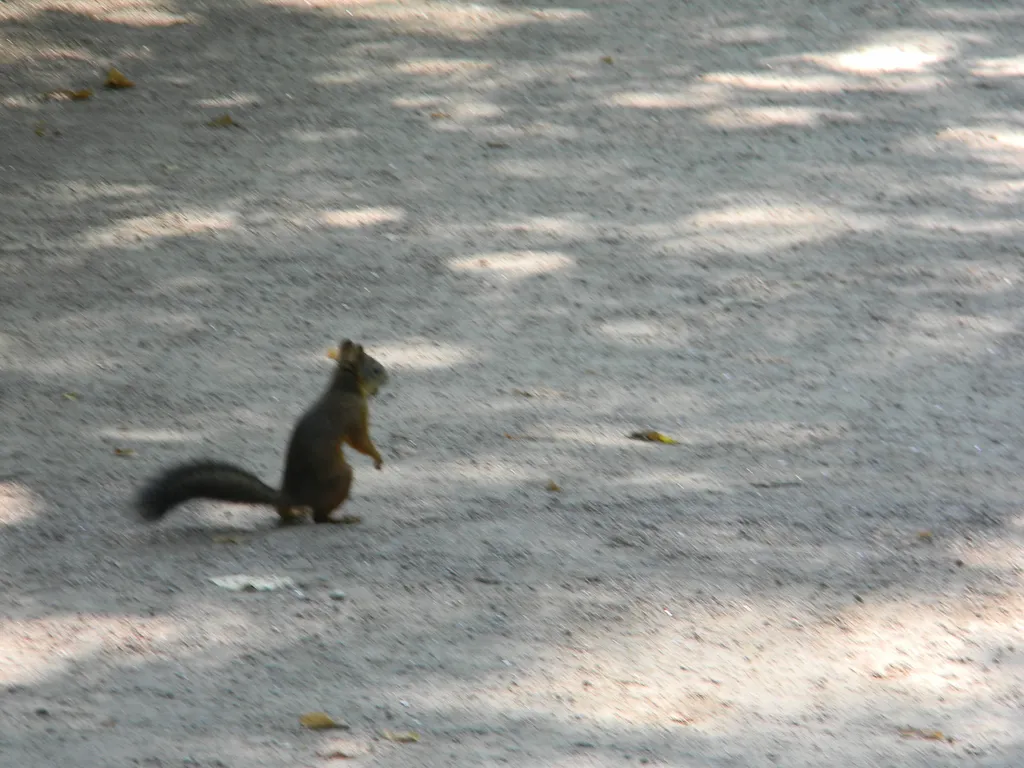 Стильная Loft студия