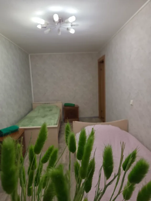 Двухкомнатная квартира рядом с парком Монрепо