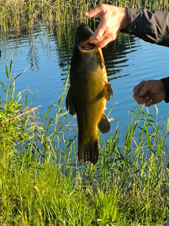 Уютный дом на берегу живописного озера