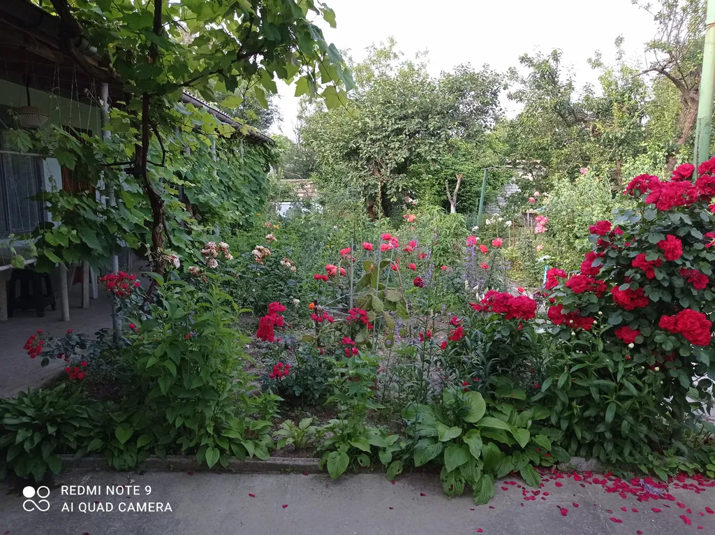 Отдых на море, как на даче