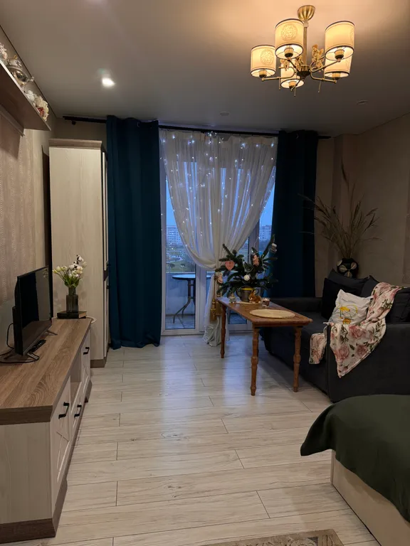 Та самая однокомнатная квартира у пруда на Новогодние праздники