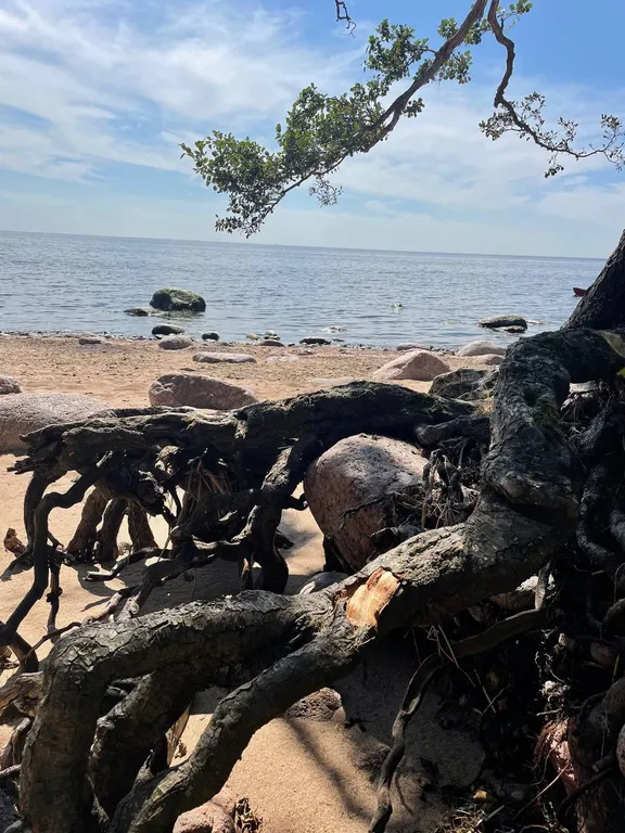 Домик в лесу