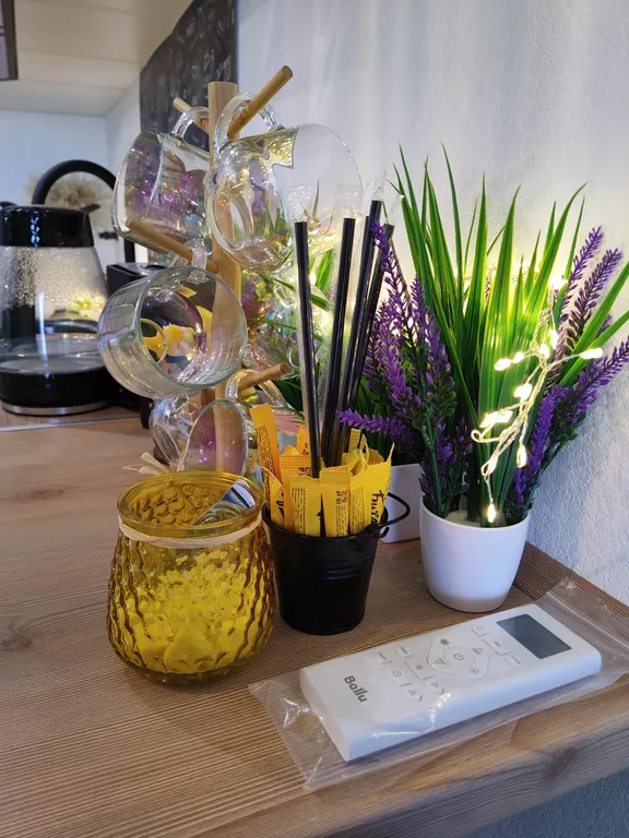 1 комнатная квартира лес