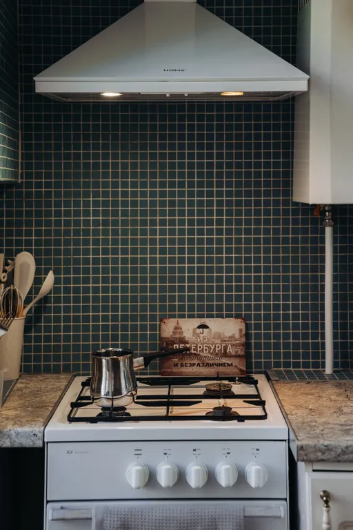 Квартира Просторная квартира с парковкой рядом с метро Петроградская — Санкт-Петербург