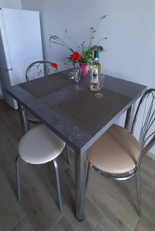 Carpe Diem Apartment