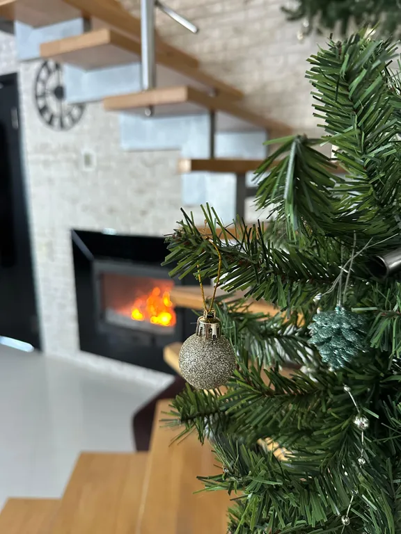 Дом на участке 12 соток