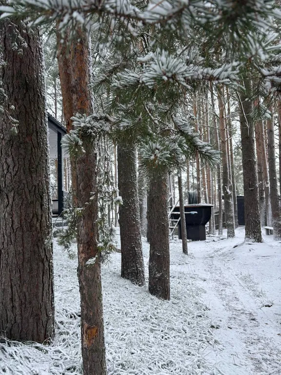 Уютный дом, баня на дровах, банный чан в сосновом бору Петрозаводска