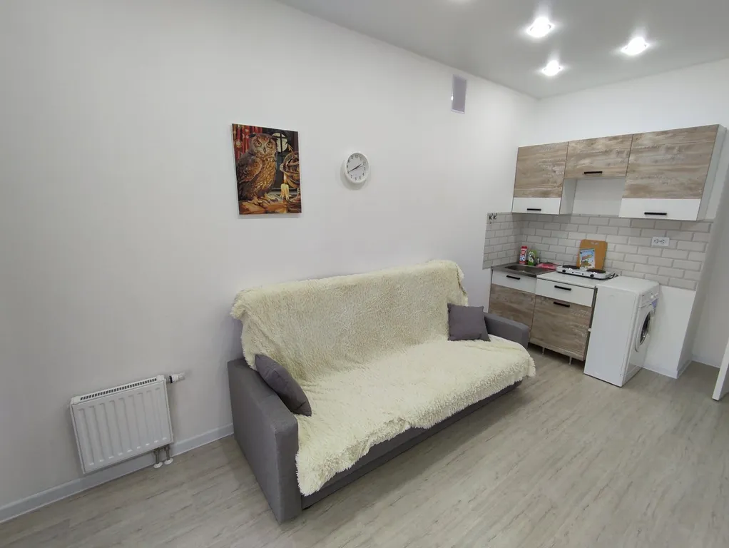 Удобная студия у Драмтеатра