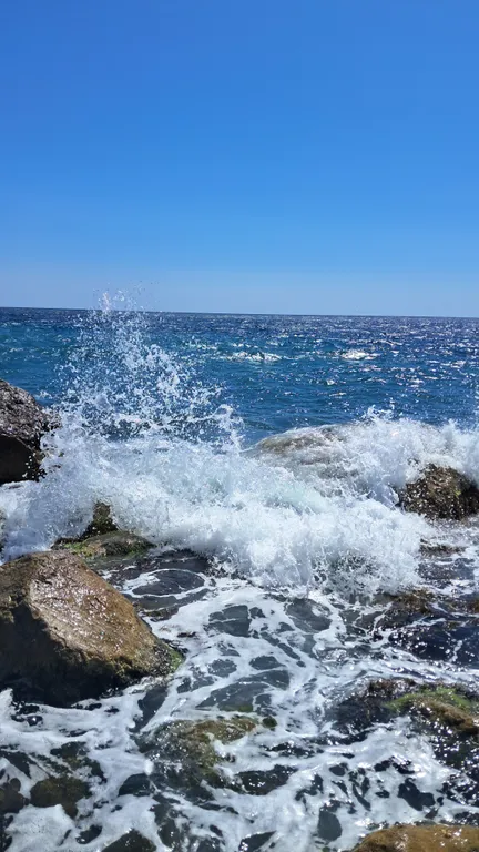 Номер с видом на море у Воронцовского парка