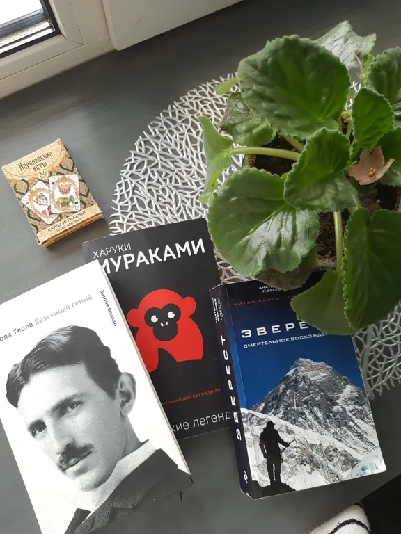 Рыжий Кот Дружный (просторная 2-ка с изолированной спальней)