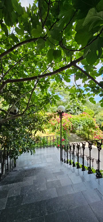 Солнце Ялты