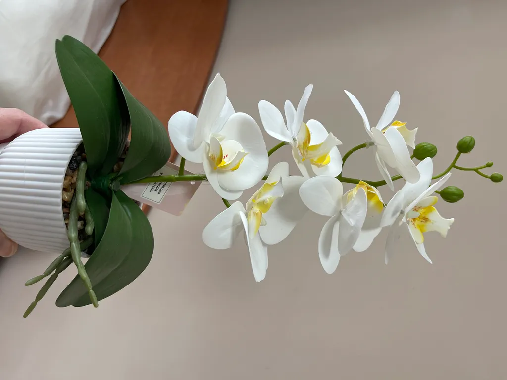 Квартира Комната — Геленджик