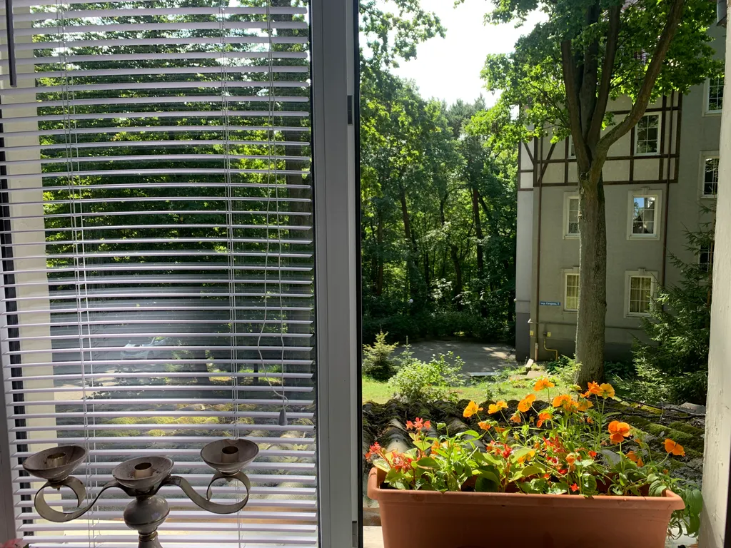 Студия Прованс в центре