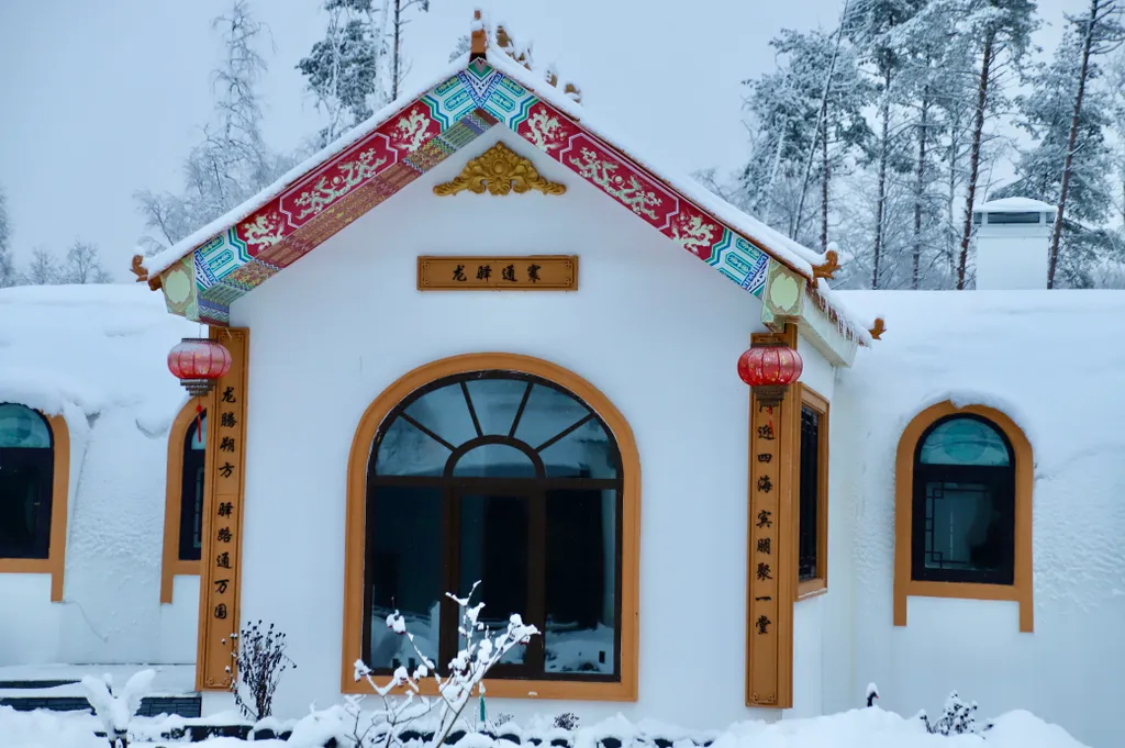 Дом для отдыха Хэйлун дом №86 "поднебесная"