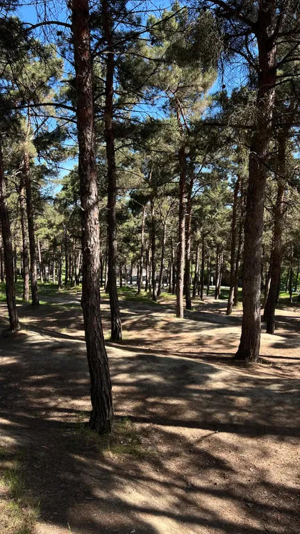 Уютный дом рядом с набережной на большую компанию до 12 человек