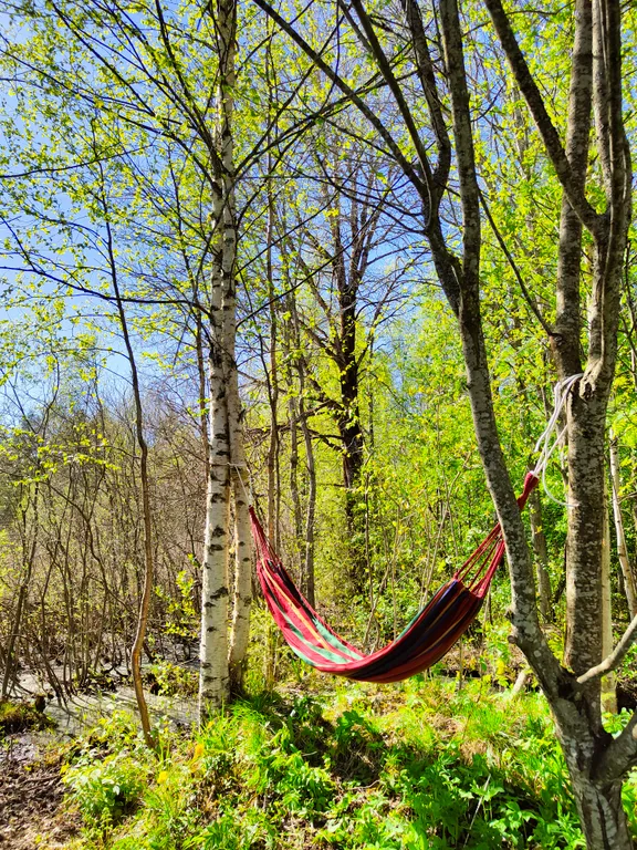 Коттедж Дом Леса — Краснознаменка