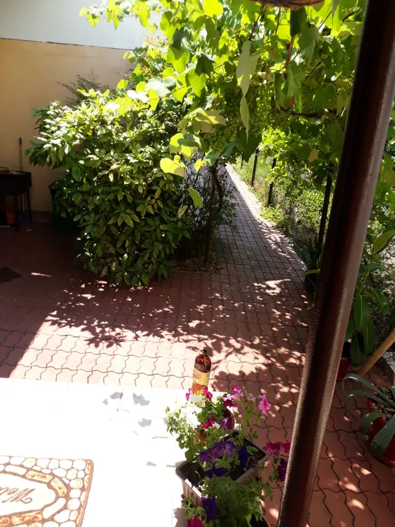 Квартира Квартира 3х местный номер с 2 спальной кроватью и раскладным 1 спальным диваном — Адлер