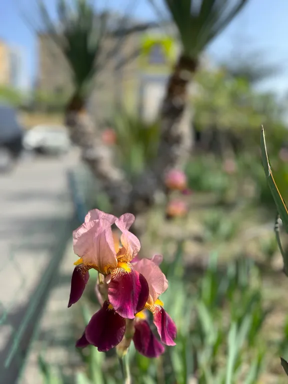 Первая береговая моря - студия с шикарной террасой