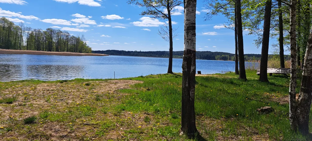 Домик braslav_resort