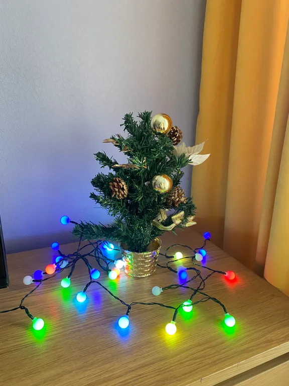 Уютная студия в тихом месте