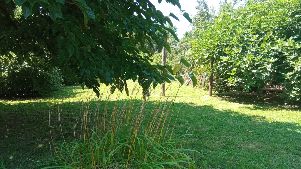 Апартамент серебро